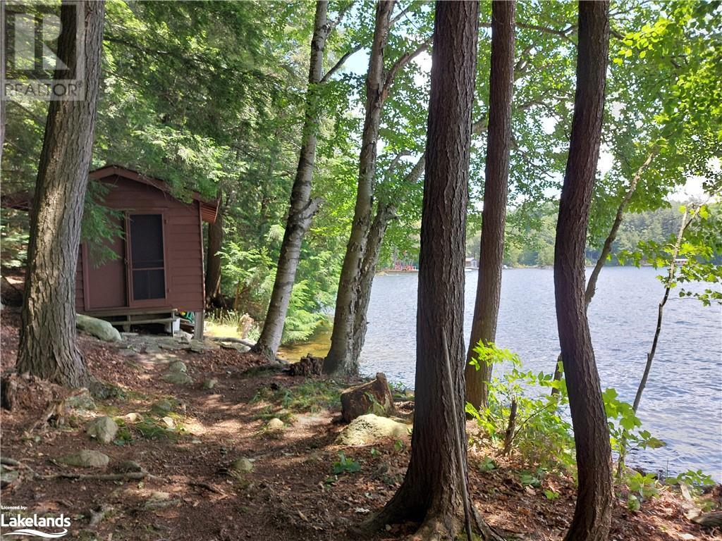 2330 Wilkinson Road, Haliburton, Ontario  K0M 1S0 - Photo 6 - 40552668