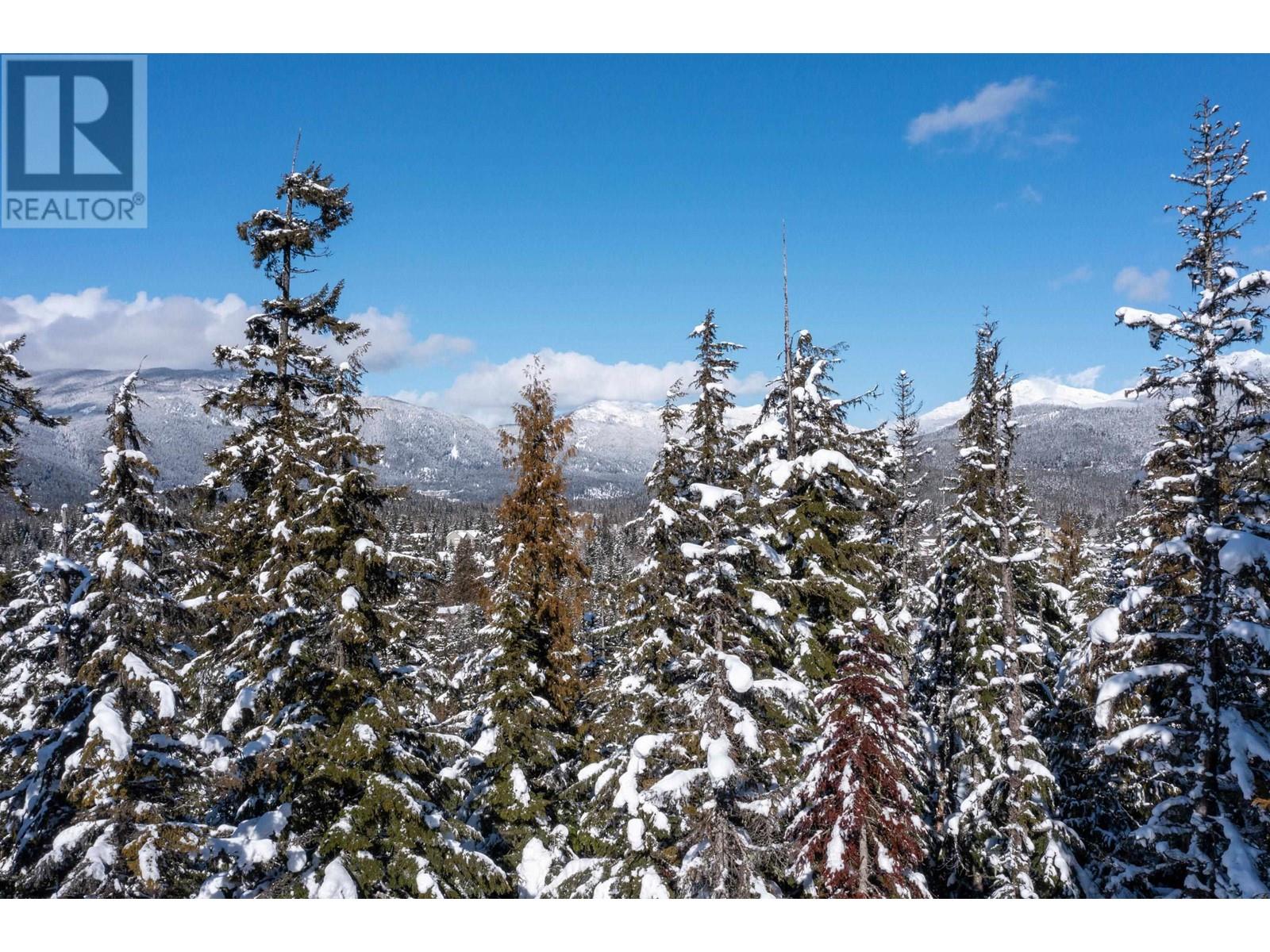 3856 Sunridge Court, Whistler, British Columbia  V8E 0W1 - Photo 12 - R2859480