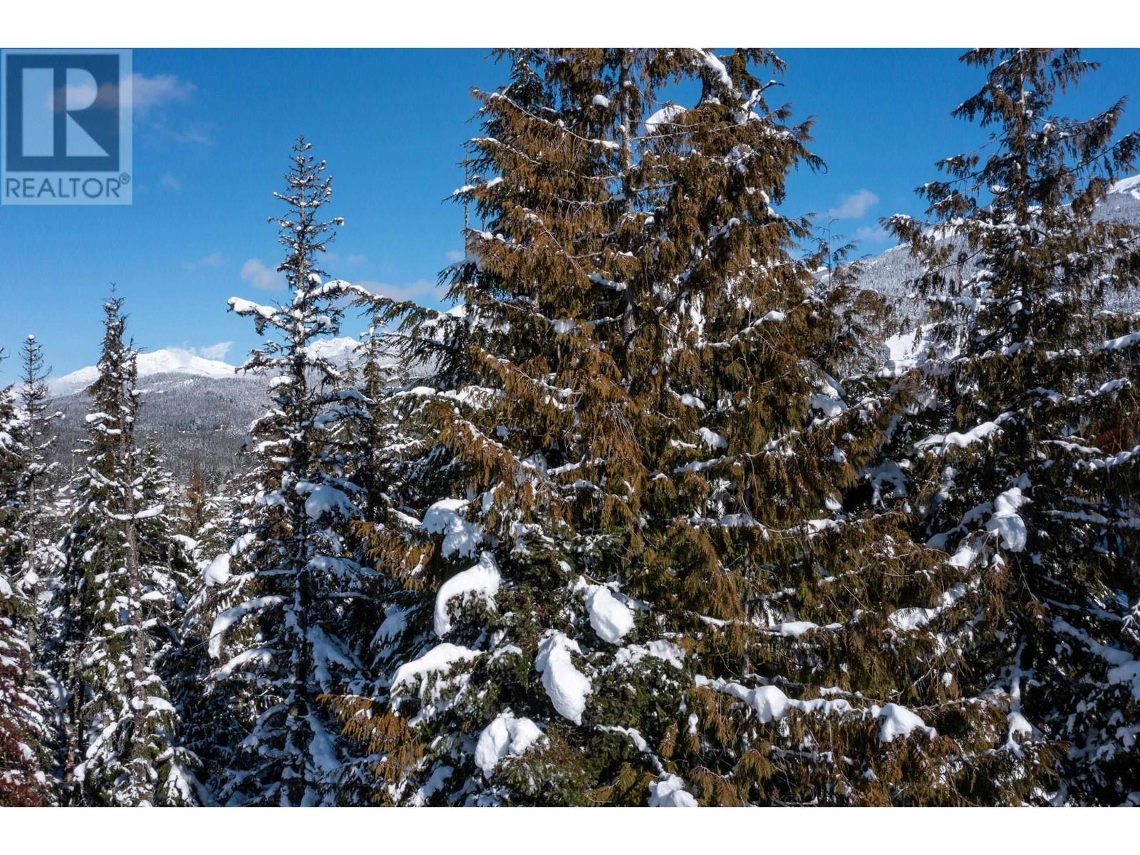 3856 Sunridge Court, Whistler, British Columbia  V8E 0W1 - Photo 13 - R2859480