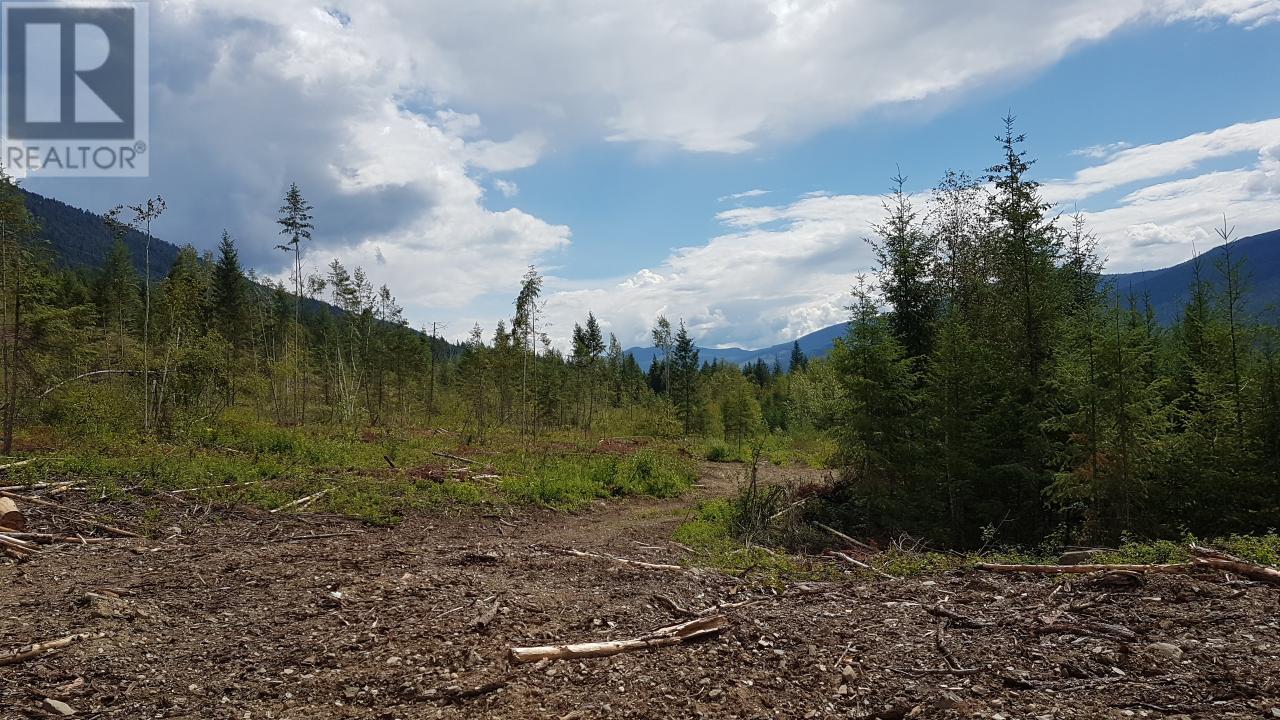 1525 Yellowhead Highway, Clearwater, British Columbia  V0E 1N1 - Photo 3 - 177209