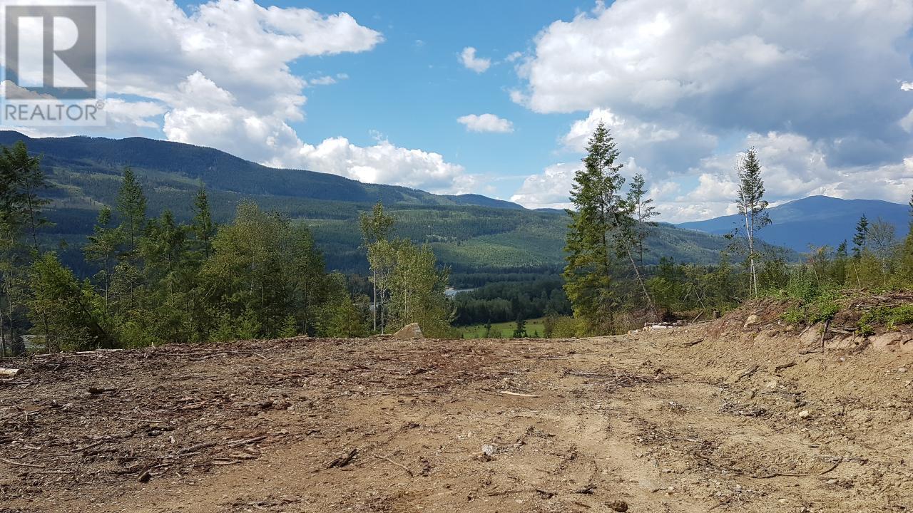 1525 Yellowhead Highway, Clearwater, British Columbia  V0E 1N1 - Photo 4 - 177209