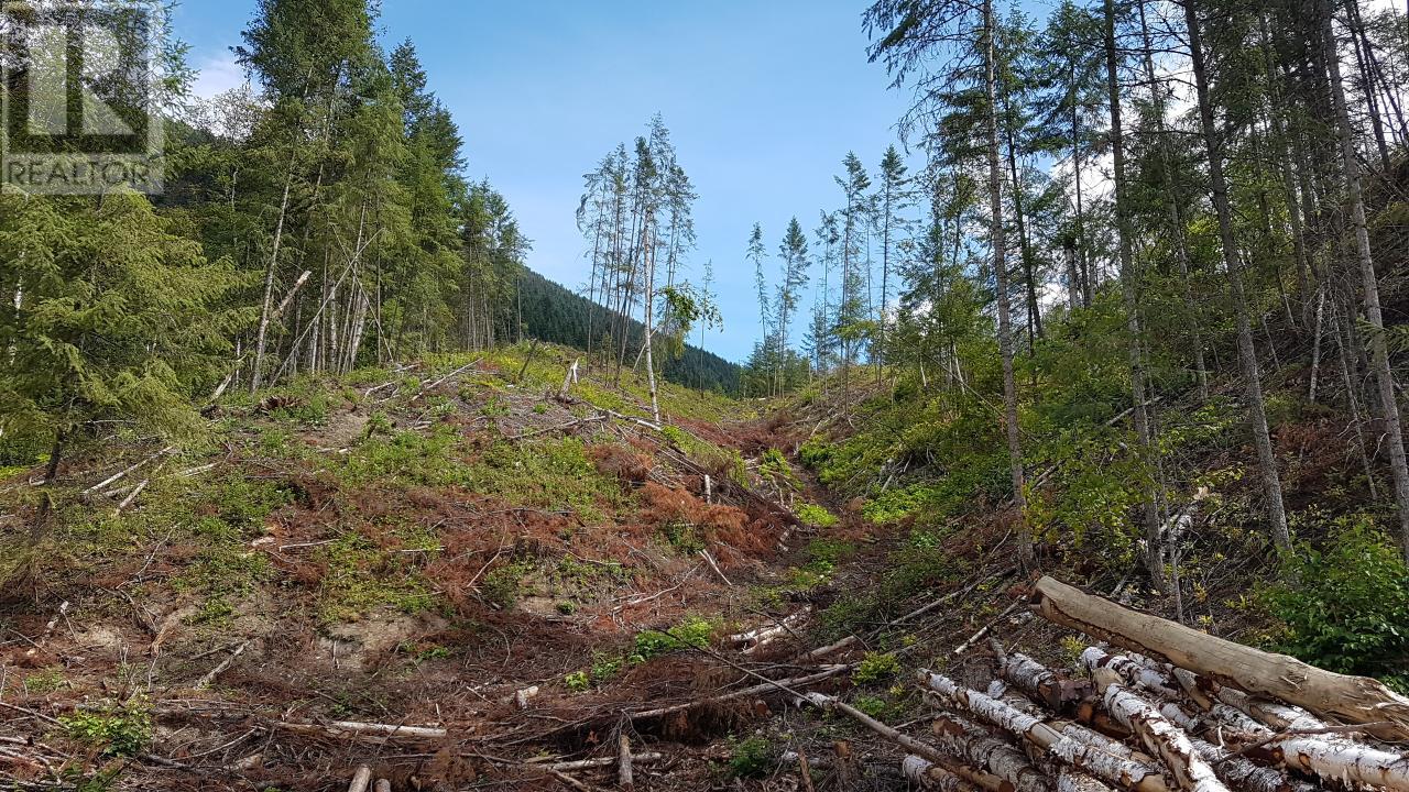 1525 Yellowhead Highway, Clearwater, British Columbia  V0E 1N1 - Photo 5 - 177209