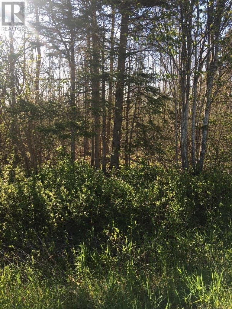 Lot 11-2 Douglas Road, Alma, Nova Scotia  B0K 2A0 - Photo 3 - 202404635