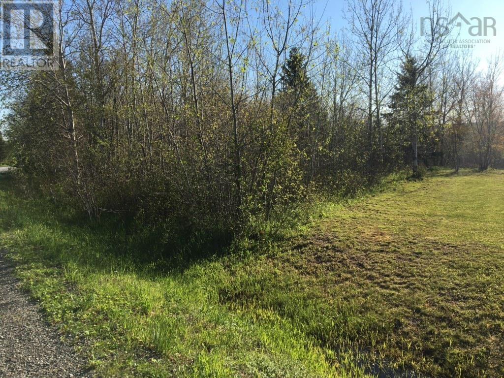 Lot 11-2 Douglas Road, Alma, Nova Scotia  B0K 2A0 - Photo 4 - 202404635