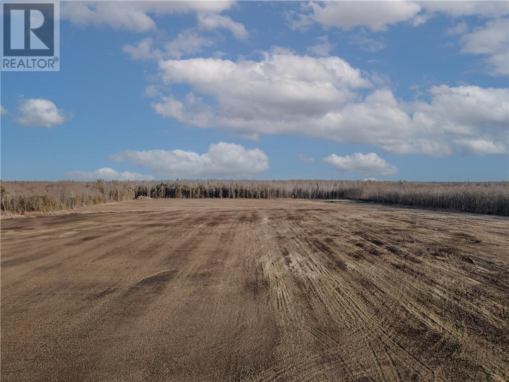 00000 Eamer Road, Lunenburg, Ontario  K0C 1R0 - Photo 6 - 1379664