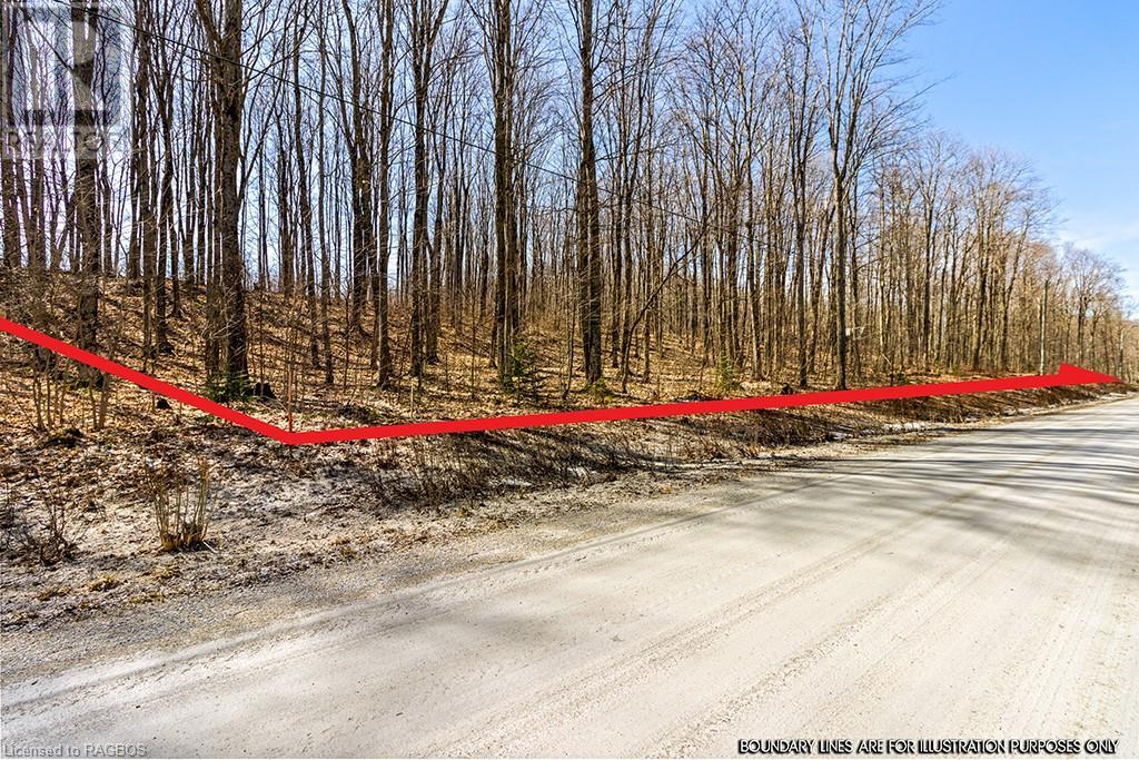 Pt Lt 6 Baseline Road, Grey Highlands, Ontario  N0C 1H0 - Photo 20 - 40554164