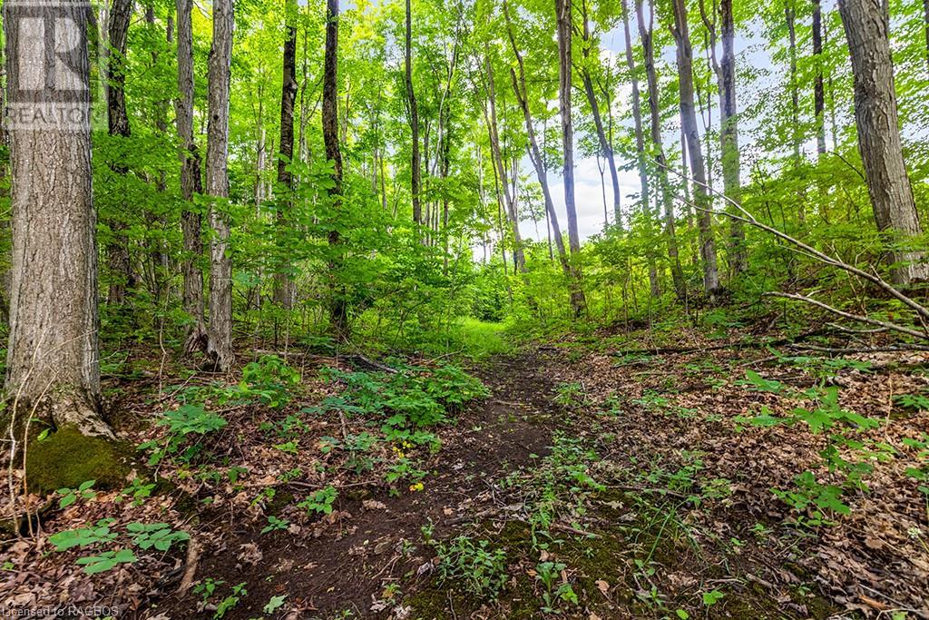 Pt Lt 6 Baseline Road, Grey Highlands, Ontario  N0C 1H0 - Photo 12 - 40554164