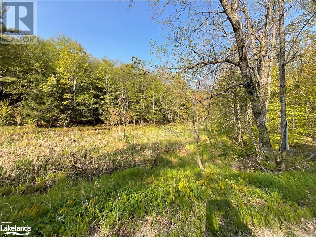 0 Barlochan Road, Gravenhurst, Ontario  P1P 1R2 - Photo 4 - 40546757
