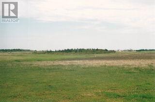 Lorem Ip, Nail Pond, Prince Edward Island  C0B  - Photo 8 - DEMO26587468