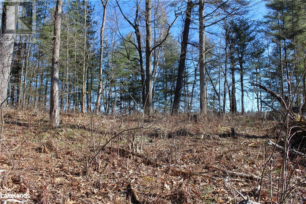 Part Lots H & I Severn River Island, Gravenhurst, Ontario  P0E 1G0 - Photo 16 - 40554684