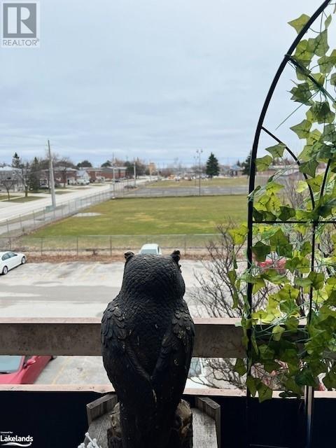 460 Ontario Street Unit# 309, Collingwood, Ontario  L9Y 4E5 - Photo 16 - 40553614