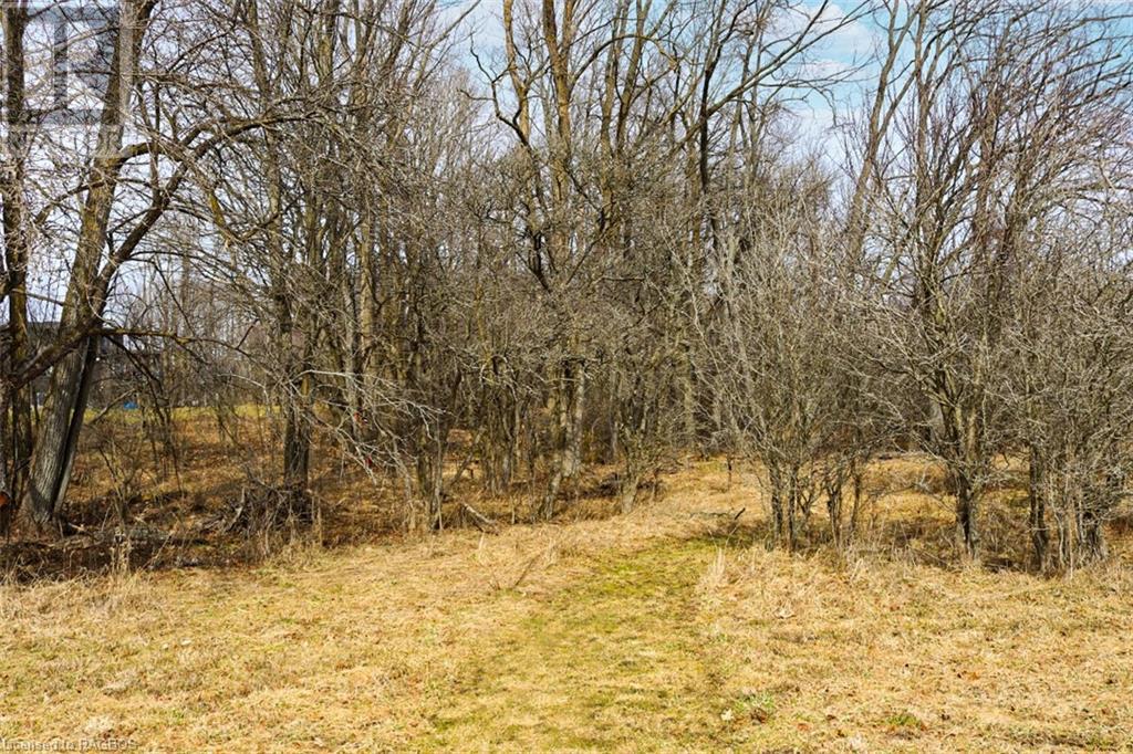 North Pt Lt 21 Grey Road 30, Grey Highlands, Ontario  N0C 1H0 - Photo 7 - 40533959