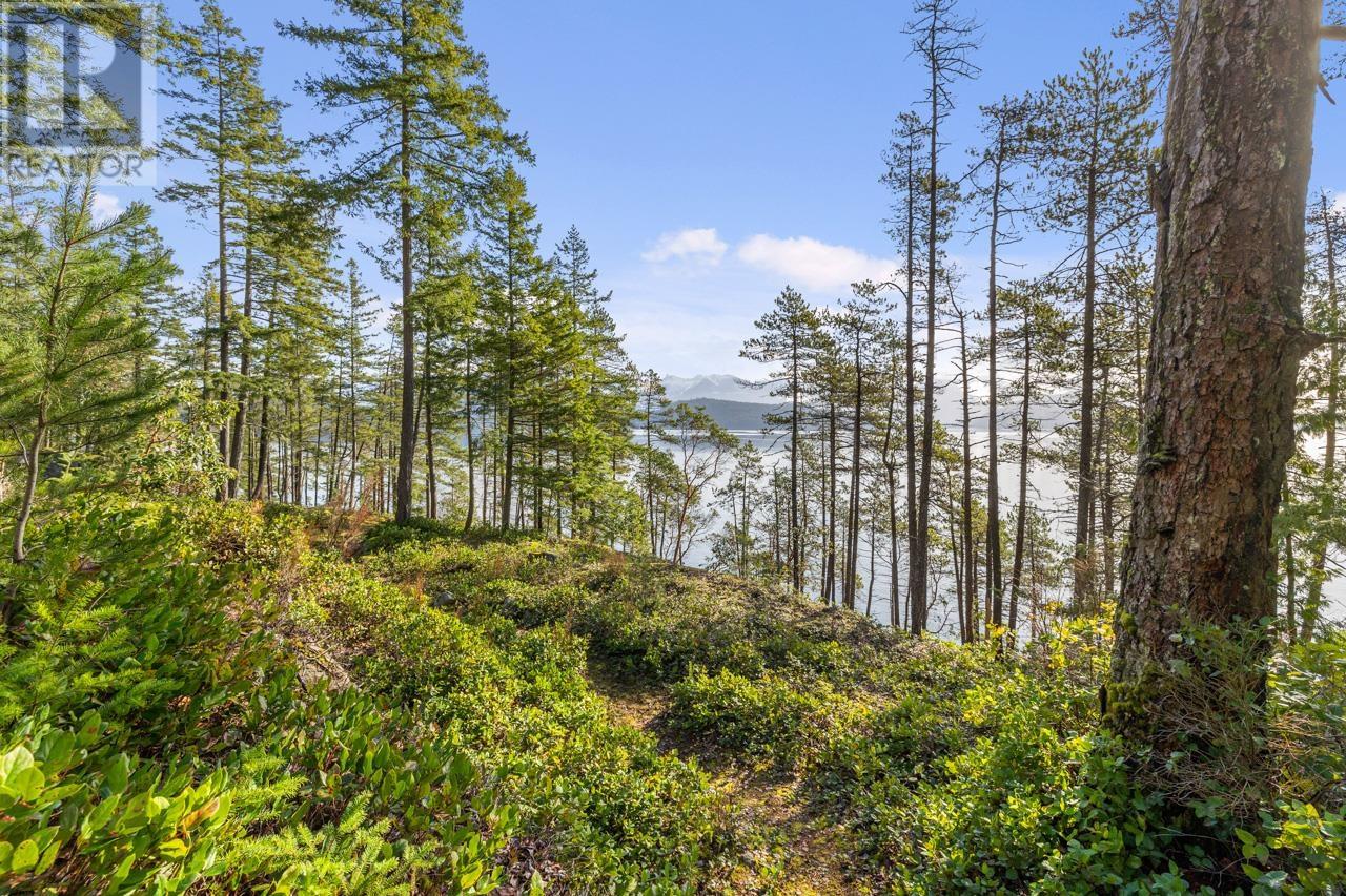 428 Bradbury Road, Gambier Island, British Columbia  V0N 1V8 - Photo 23 - R2860069
