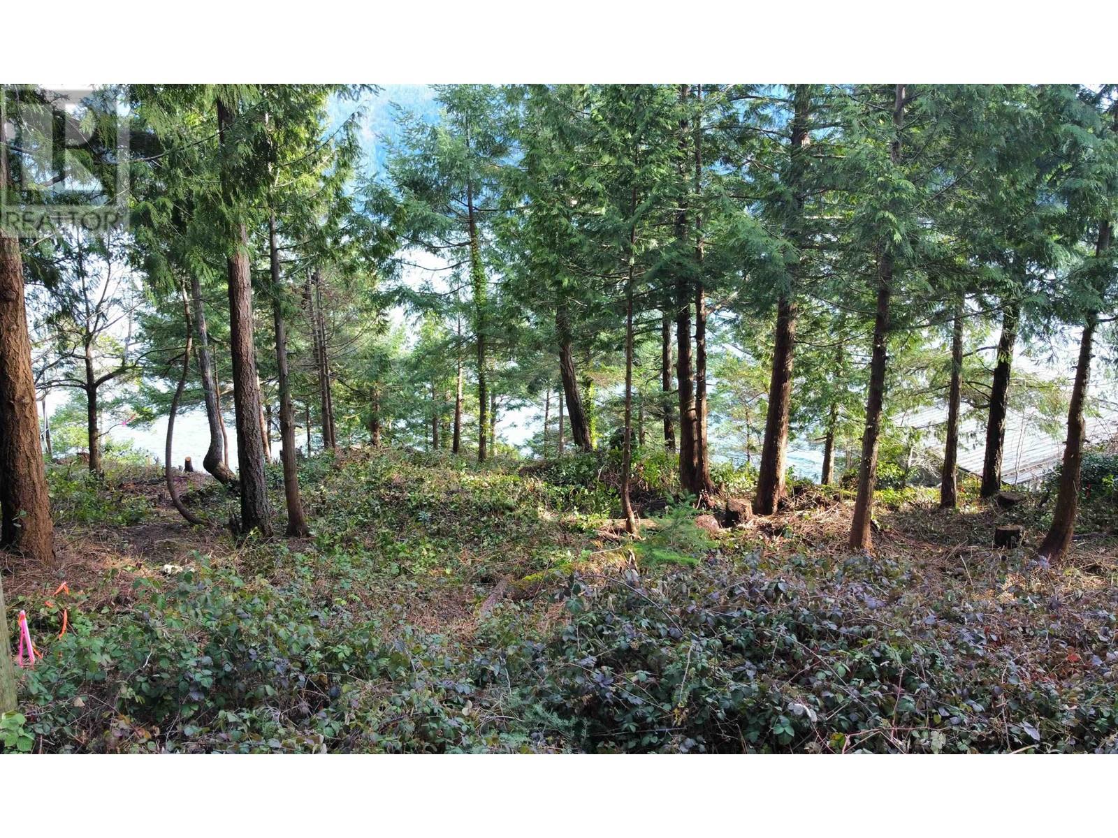 Lot 9 Collingwood Road, Keats Island, British Columbia  V0N 1V0 - Photo 15 - R2856807