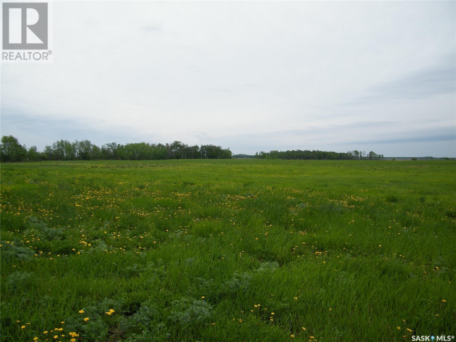 Gray Farm, Ponass Lake Rm No. 367, Saskatchewan  S0A 3E0 - Photo 10 - SK962301