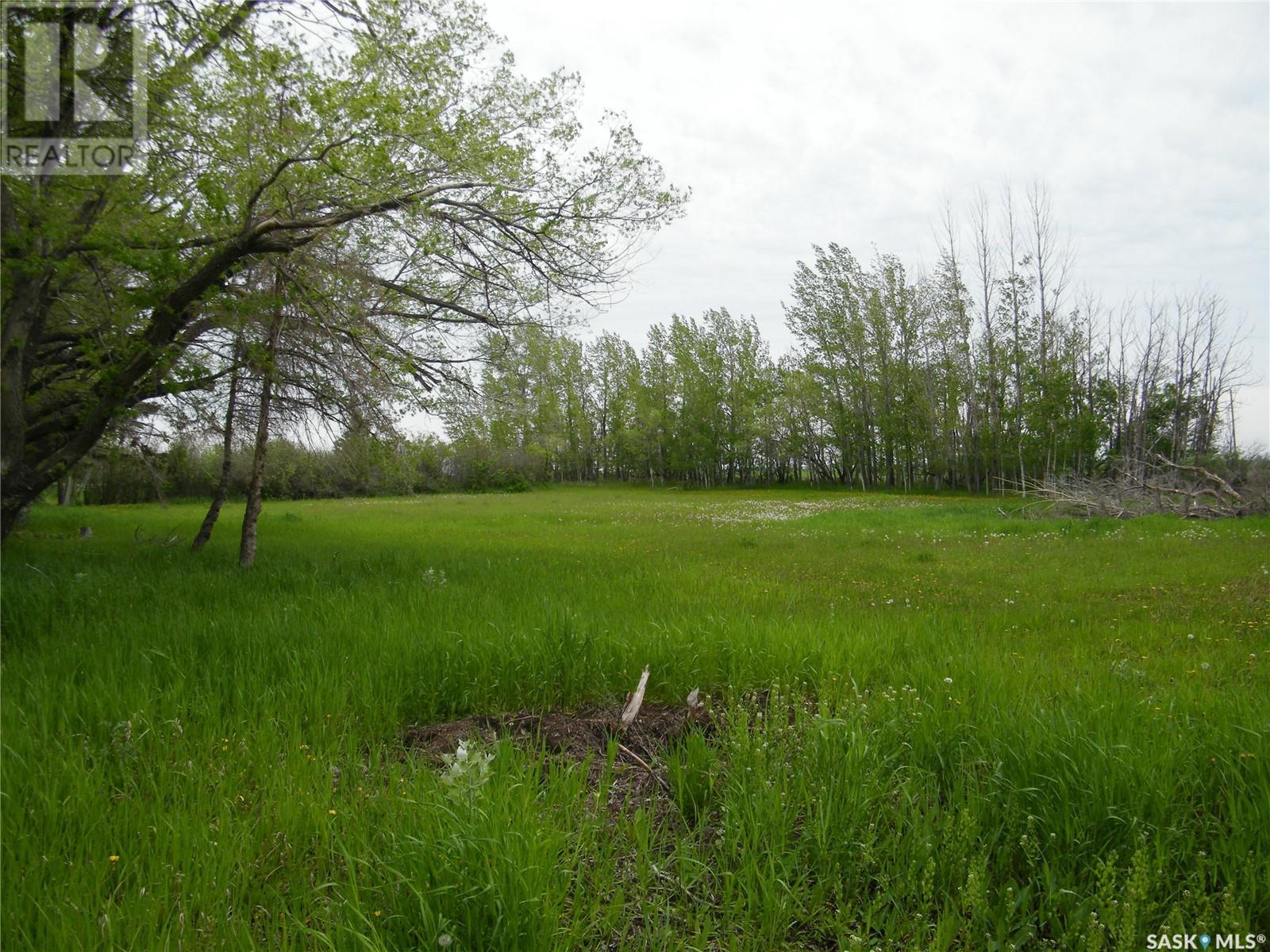 Gray Farm, Ponass Lake Rm No. 367, Saskatchewan  S0A 3E0 - Photo 8 - SK962301
