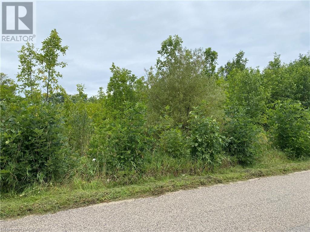 Lot 18 Dawson Sideroad, Georgian Bluffs, Ontario  N0H 1S0 - Photo 4 - 40554894
