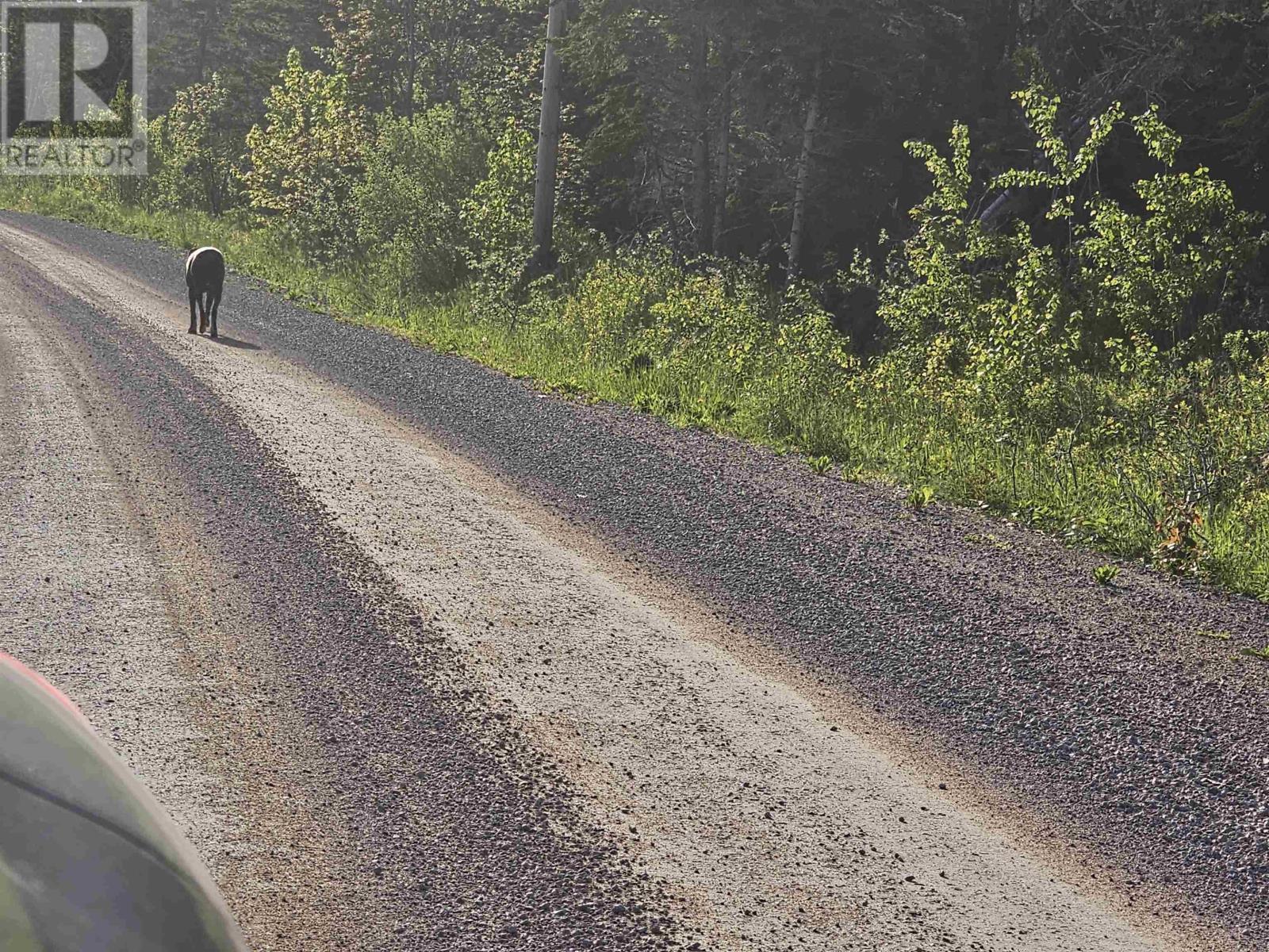 . Broughton Road Street, Mira Gut, Nova Scotia  B1B 1M9 - Photo 2 - 202404752