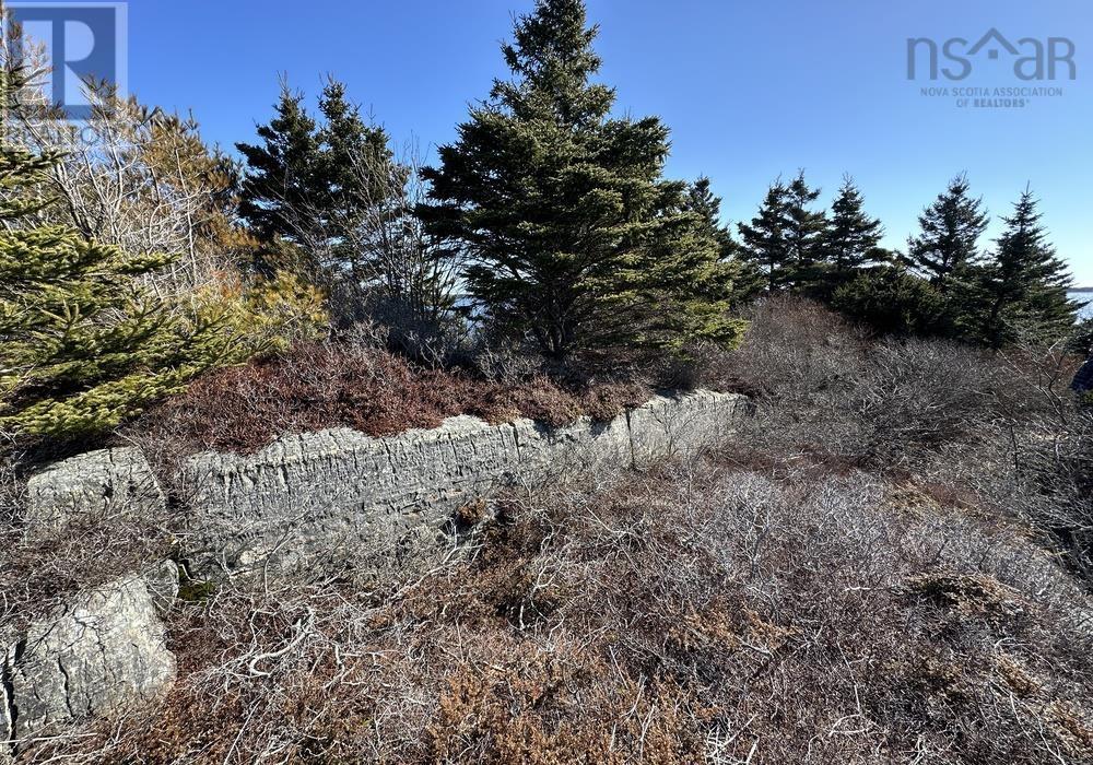 Lot Highway 331, Crescent Beach, Nova Scotia  B0R 1C0 - Photo 6 - 202404765