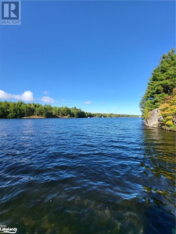 1150 Birdhaven Way, Gravenhurst, Ontario  P1P 0G3 - Photo 23 - 40554597