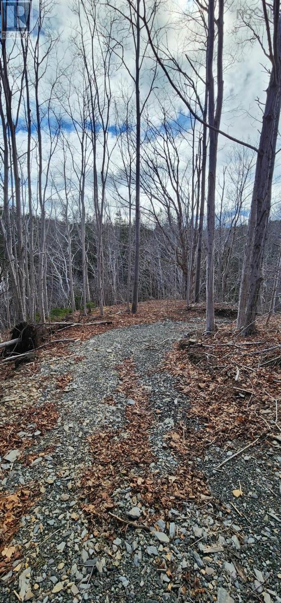 Lot 3 & 4 West Old Post Road, Smiths Cove, Nova Scotia  B0S 1S0 - Photo 25 - 202404775