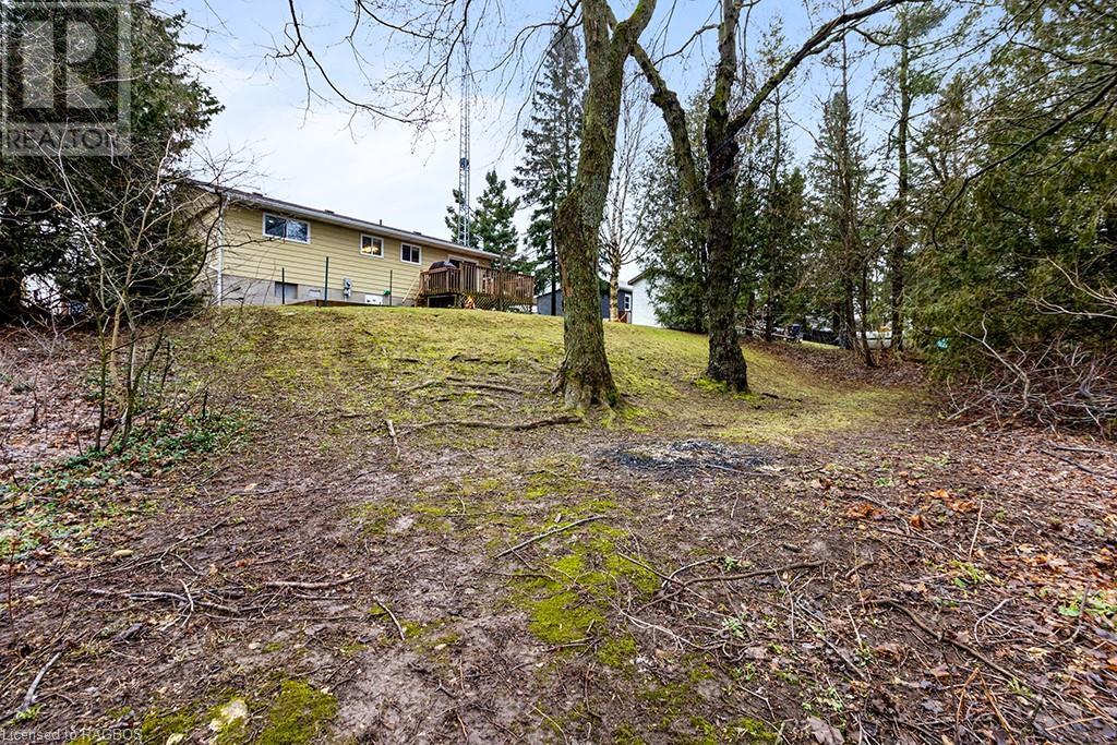 125 John Street, Feversham, Ontario  N0C 1C0 - Photo 40 - 40553188