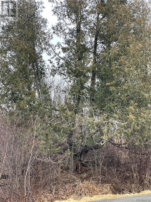 00 Kennebecasis River Road, Hampton, New Brunswick  E5N 6L8 - Photo 2 - NB096853