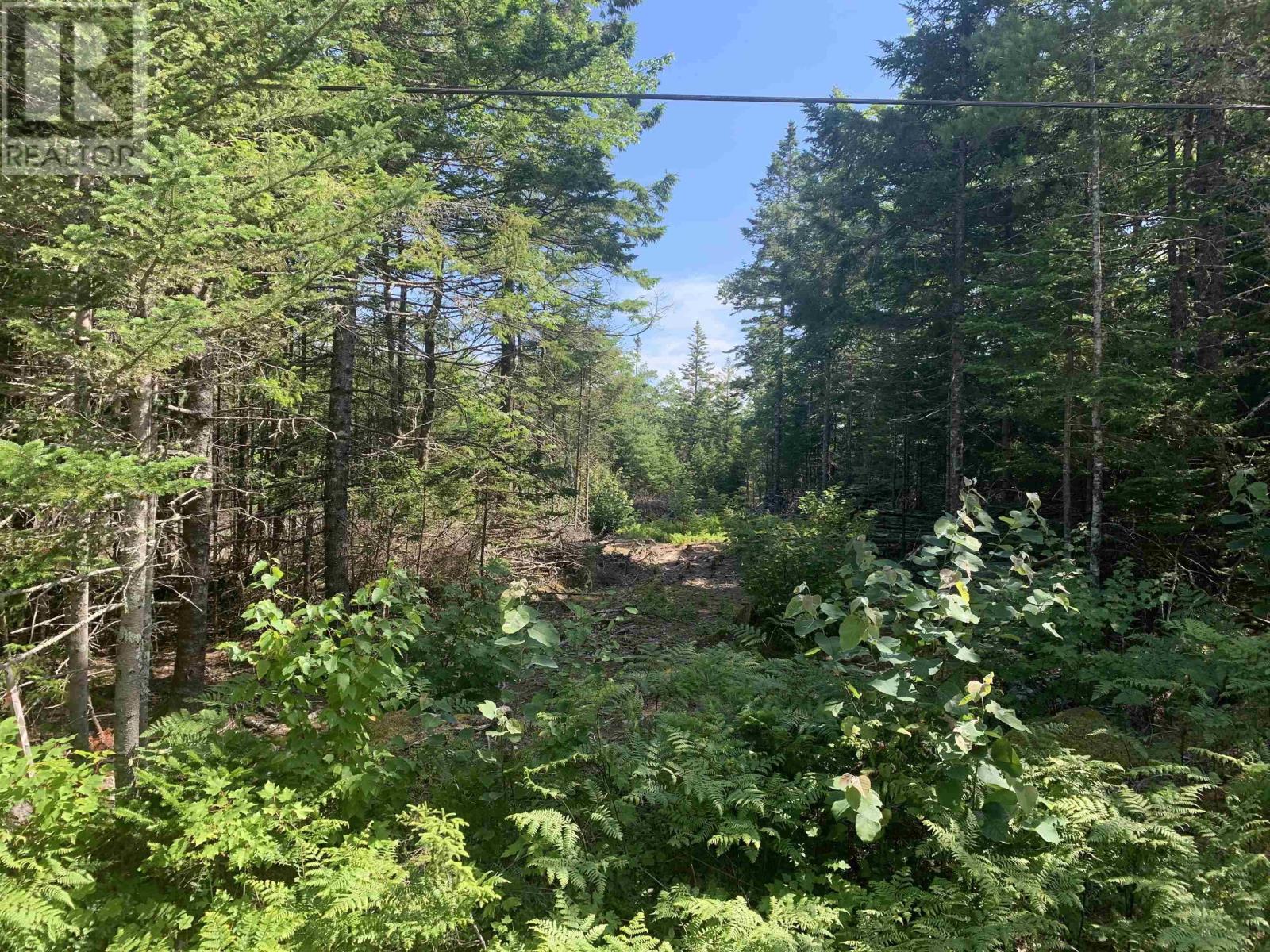 Lot 2 Highway 3, East River, Nova Scotia  B0J 1T0 - Photo 5 - 202404817