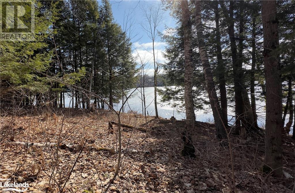 16 & 18 Pinewood Road, Mcdougall, Ontario  P2A 2W7 - Photo 3 - 40555574