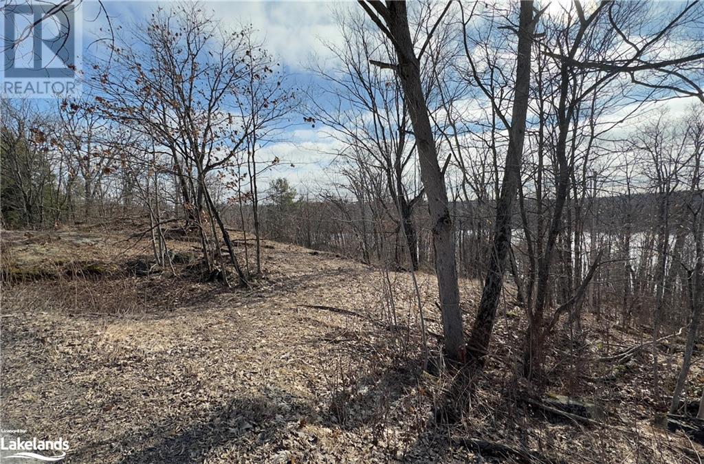 16 & 18 Pinewood Road, Mcdougall, Ontario  P2A 2W7 - Photo 6 - 40555574