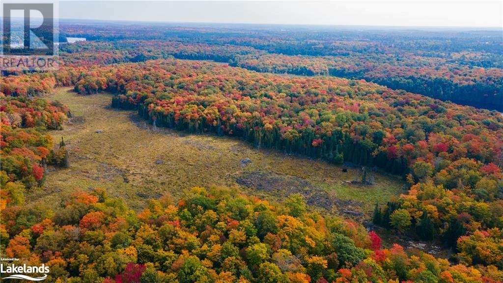 17 Pauls Bay Road, Mcdougall, Ontario  P2A 2W7 - Photo 15 - 40549076