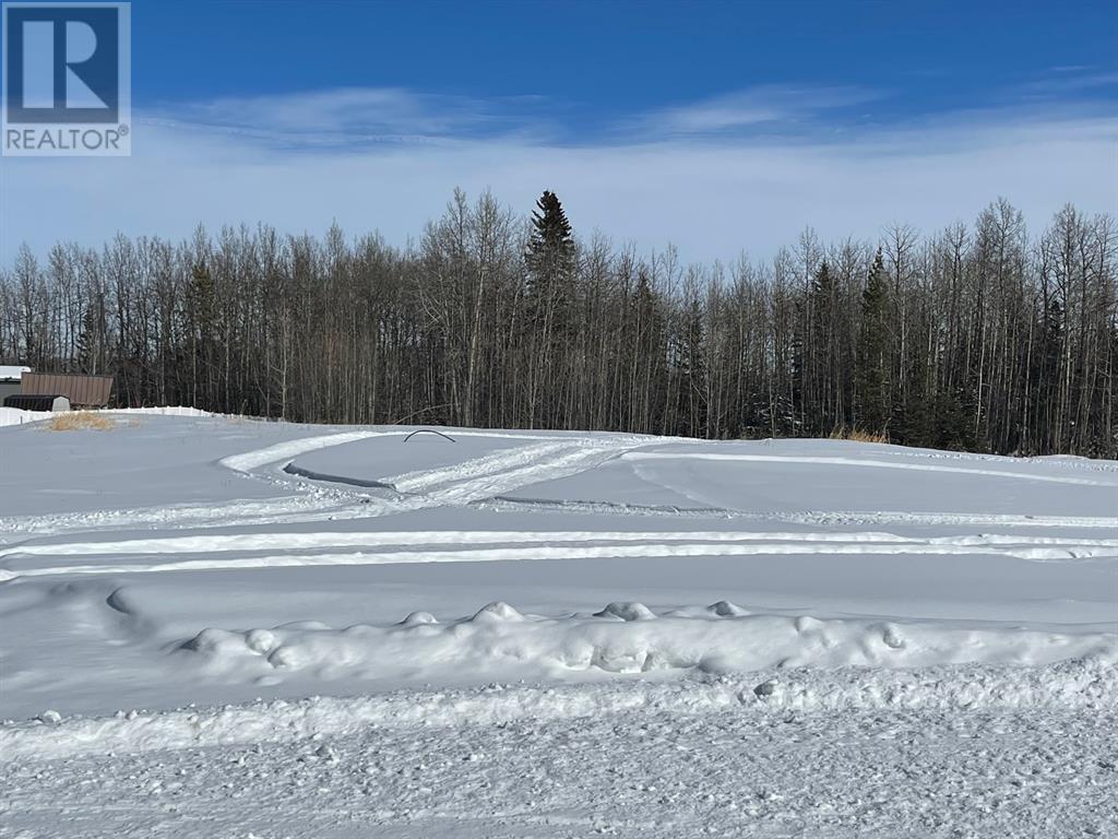 29403 Range Road 52, Rural Mountain View County, Alberta  T0M 2E0 - Photo 16 - A2115240