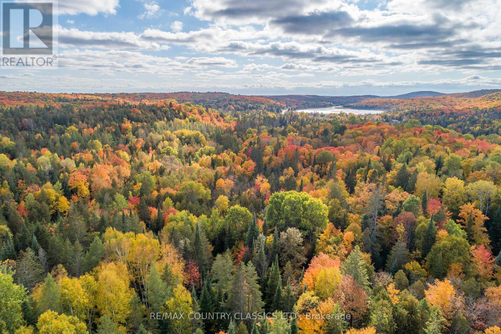 18833 Hwy 118, Highlands East, Ontario  K0L 2Y0 - Photo 20 - X8150820