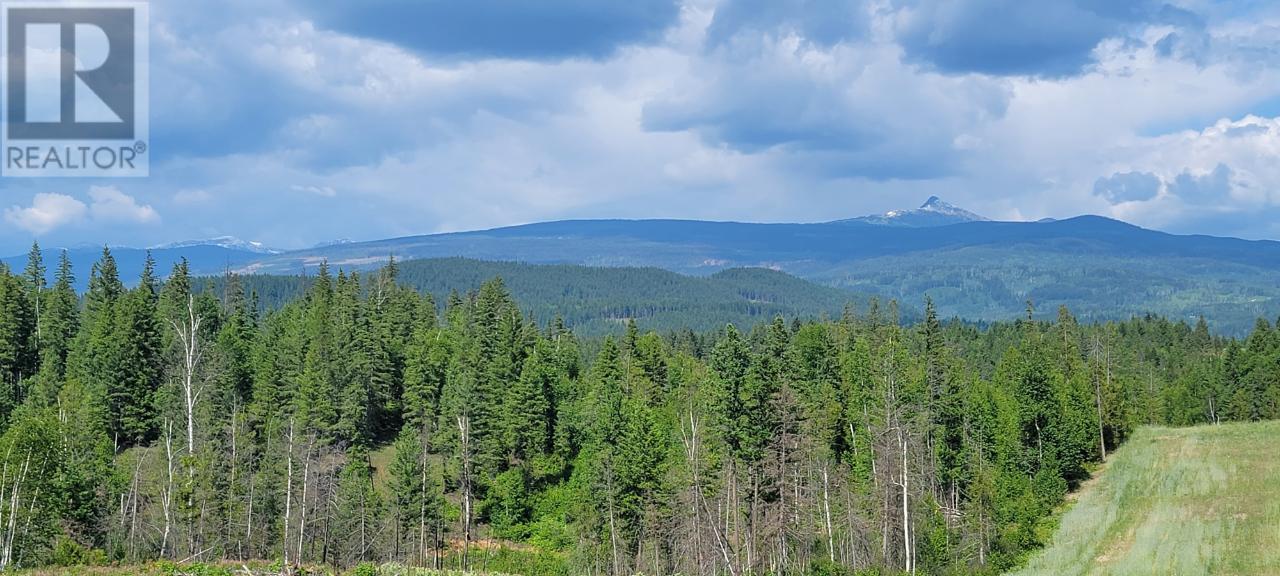 Lot 1 Dl 2 Yellowhead Highway, Clearwater, British Columbia  V0E 1N1 - Photo 10 - 177265