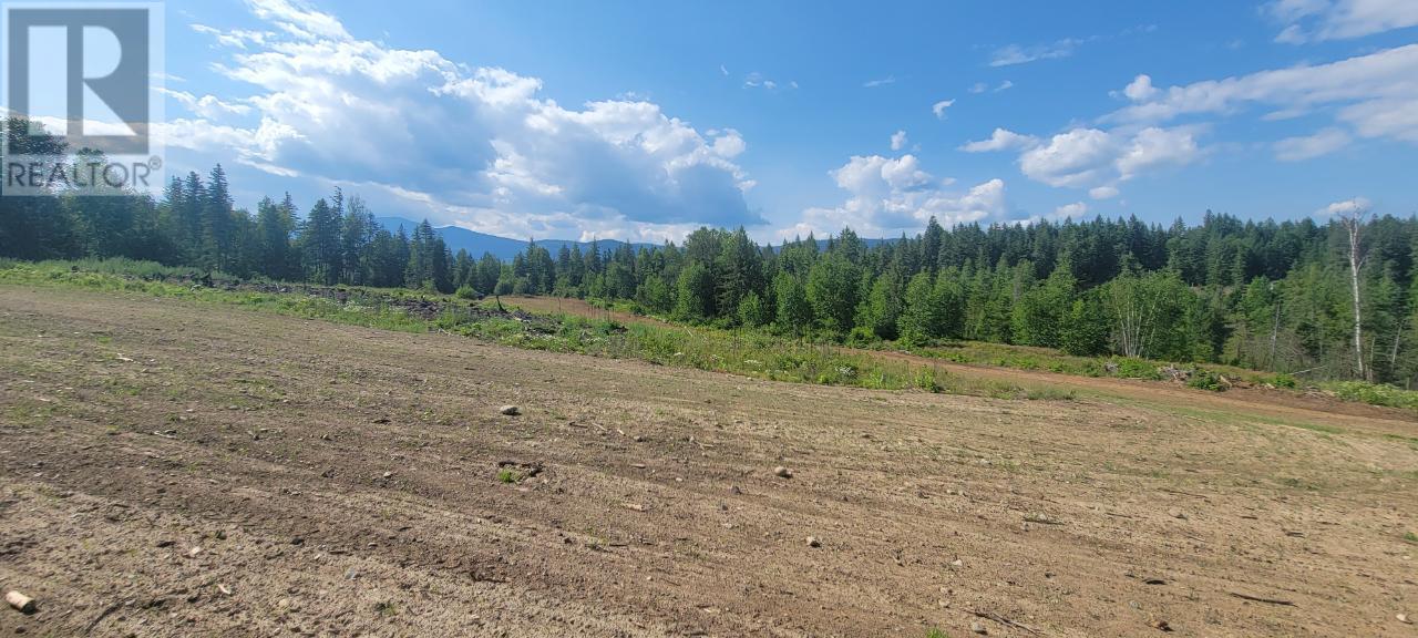 Lot 1 Dl 2 Yellowhead Highway, Clearwater, British Columbia  V0E 1N1 - Photo 12 - 177265
