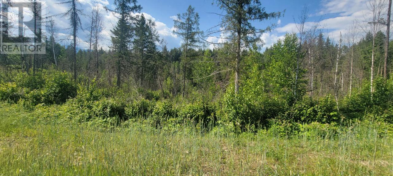 Lot 1 Dl 2 Yellowhead Highway, Clearwater, British Columbia  V0E 1N1 - Photo 16 - 177265