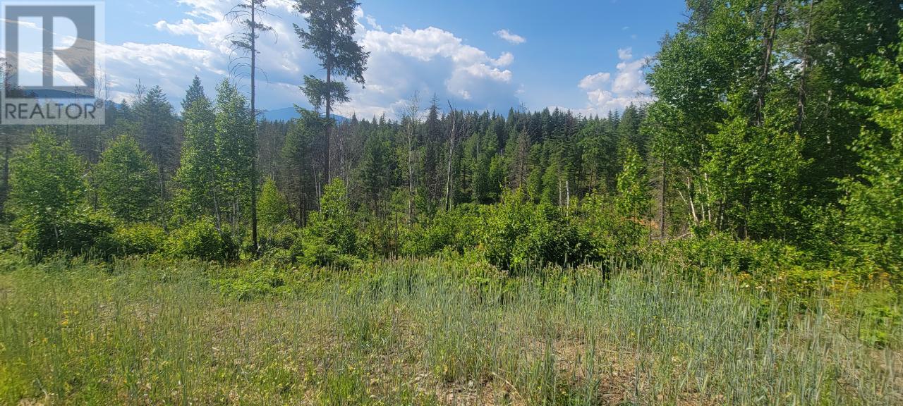 Lot 1 Dl 2 Yellowhead Highway, Clearwater, British Columbia  V0E 1N1 - Photo 17 - 177265