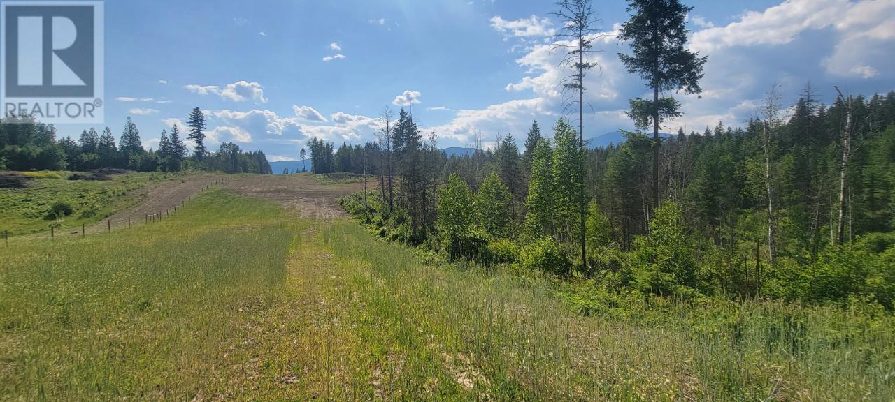 Lot 1 Dl 2 Yellowhead Highway, Clearwater, British Columbia  V0E 1N1 - Photo 18 - 177265