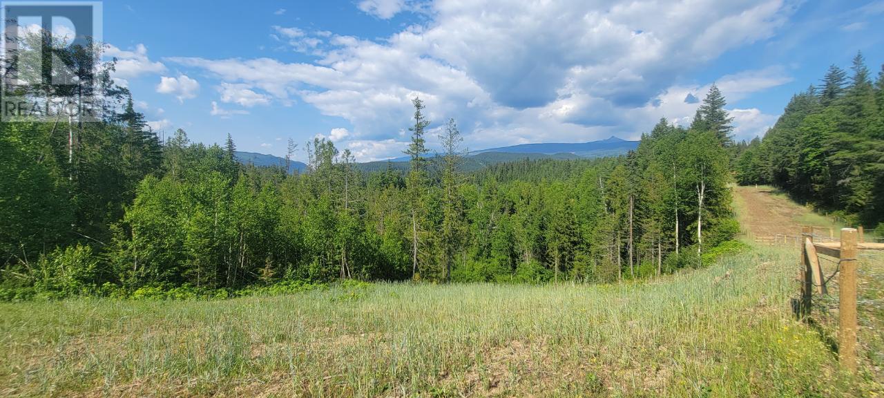 Lot 1 Dl 2 Yellowhead Highway, Clearwater, British Columbia  V0E 1N1 - Photo 19 - 177265