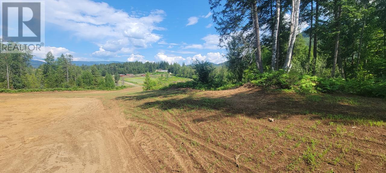 Lot 1 Dl 2 Yellowhead Highway, Clearwater, British Columbia  V0E 1N1 - Photo 3 - 177265