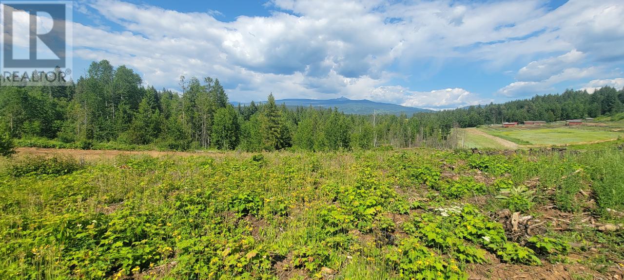 Lot 1 Dl 2 Yellowhead Highway, Clearwater, British Columbia  V0E 1N1 - Photo 4 - 177265