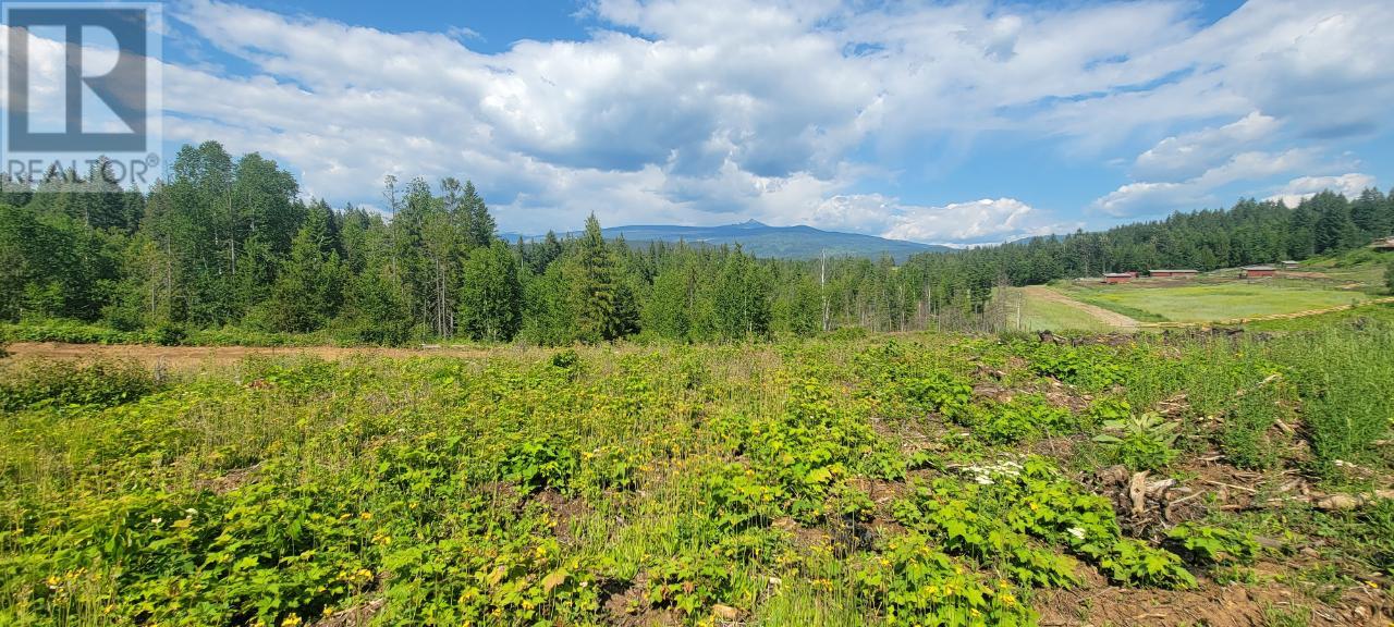 Lot 1 Dl 2 Yellowhead Highway, Clearwater, British Columbia  V0E 1N1 - Photo 5 - 177265