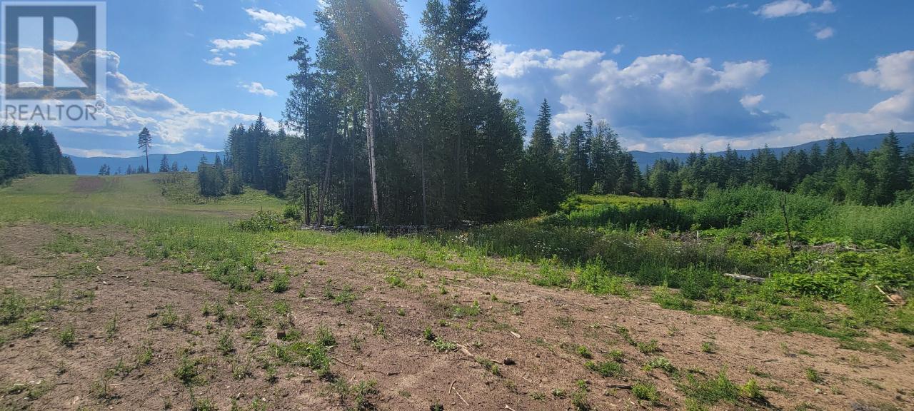 Lot 1 Dl 2 Yellowhead Highway, Clearwater, British Columbia  V0E 1N1 - Photo 7 - 177265
