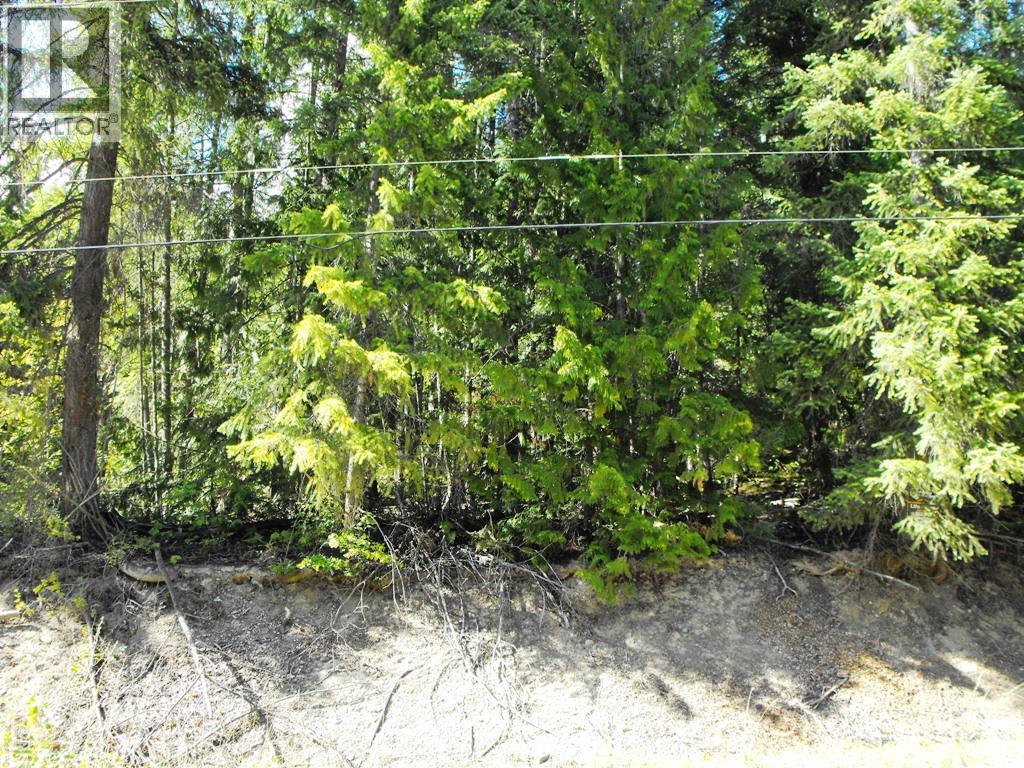 Lot 59 Copper Island Drive, Anglemont, British Columbia  V0E 1M8 - Photo 11 - 10307336