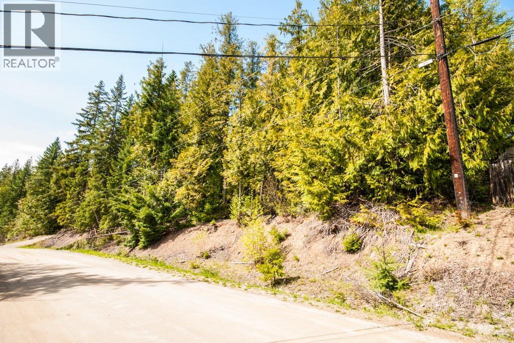 Lot 59 Copper Island Drive, Anglemont, British Columbia  V0E 1M8 - Photo 12 - 10307336