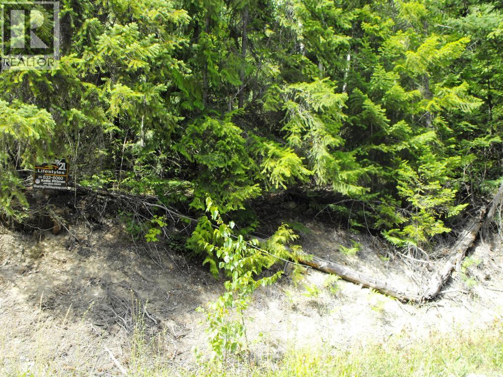 Lot 59 Copper Island Drive, Anglemont, British Columbia  V0E 1M8 - Photo 5 - 10307336