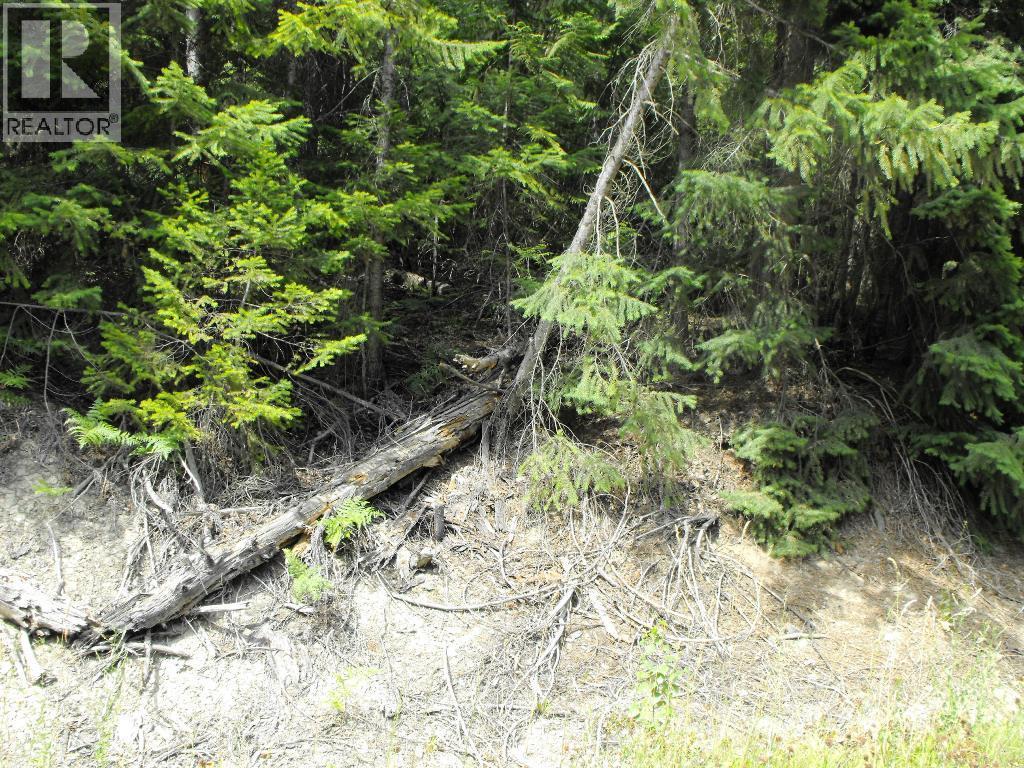 Lot 59 Copper Island Drive, Anglemont, British Columbia  V0E 1M8 - Photo 6 - 10307336