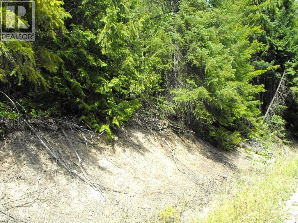 Lot 59 Copper Island Drive, Anglemont, British Columbia  V0E 1M8 - Photo 9 - 10307336