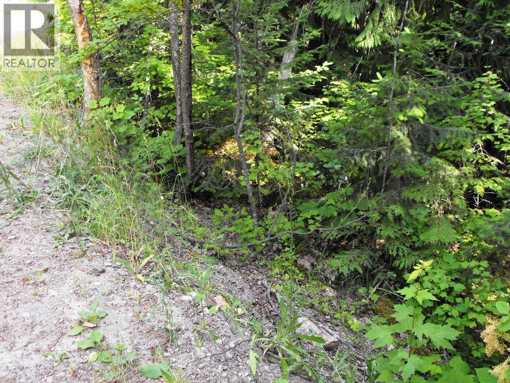 Lot 57 Lonneke Trail, Anglemont, British Columbia  V0E 1M8 - Photo 7 - 10307335