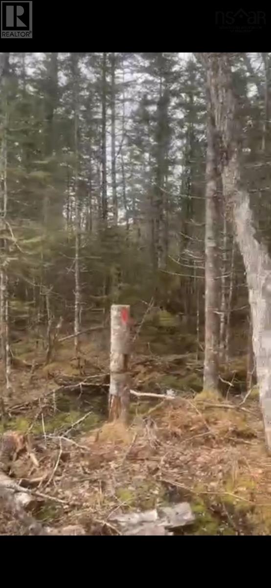 7 Rylan Lane, Chester Grant, Nova Scotia  B0K 1J0 - Photo 1 - 202404874